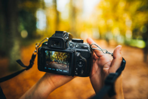How to Choose the Best Digital Camera: A Comprehensive Guide